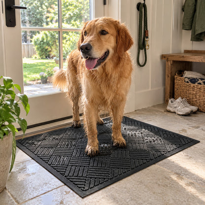 Dog with damp paws on the black door mat in a mudroom