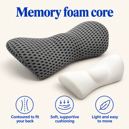 Memory foam core and mesh cover